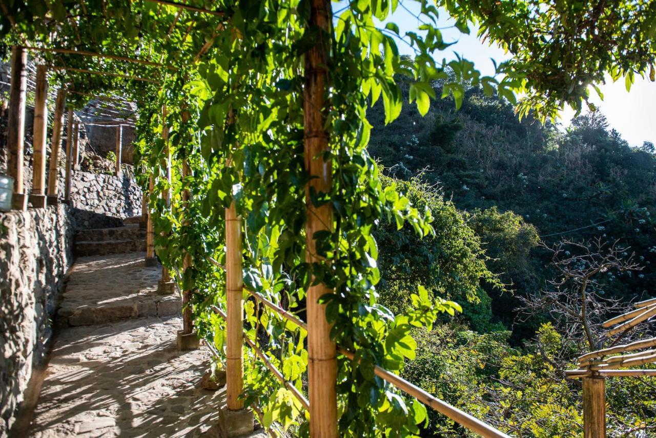 Отель El Picnic Atitlan Цунуна Экстерьер фото